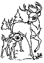 coloriage bambi marche avec son pere